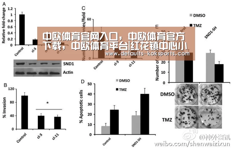 中欧体育官网入口，中欧体育官方下载，中欧
