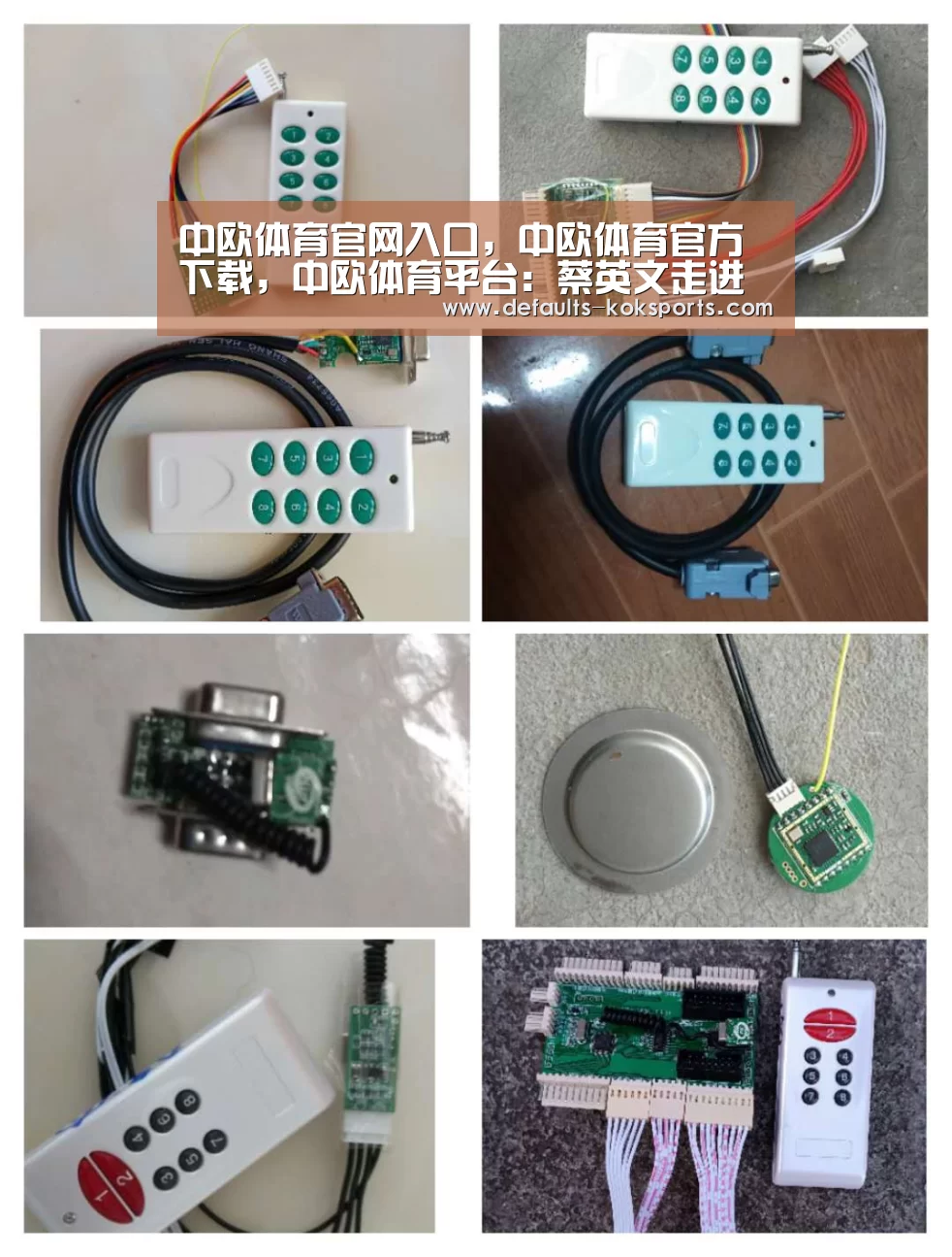 中欧体育官网入口，中欧体育官方下载，中欧体育平台：蔡英文走进