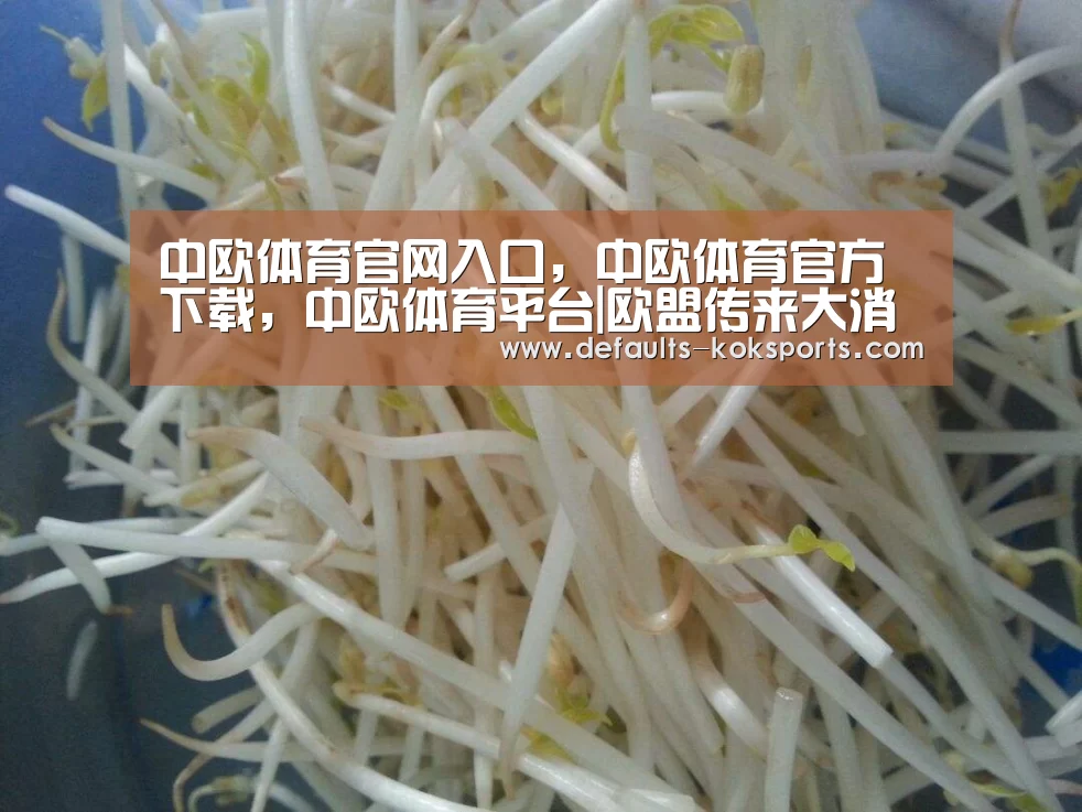 中欧体育官网入口,中欧体育官方下载,中欧体育平台|欧盟传来大消息,加倍惩罚美国,就因为中国神秘大单(图2) 中欧体育官网入口,中欧体育官方下载,中欧体育平台